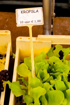 Farm Food